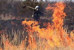 To zdarzyło się w Polsce!