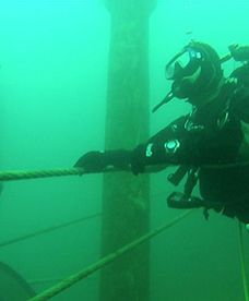 Podwodny świat w Jaworznie