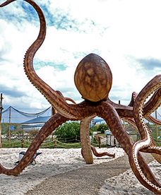 Okiem Fotoreportera WP.PL