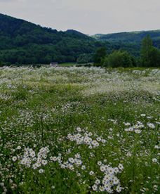 Prognoza pogody na majówkę