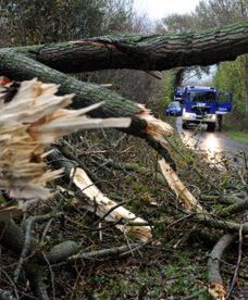 Derecho zaatakowało USA. Uderzy także w Polskę?