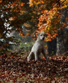 Prognoza pogody na weekend