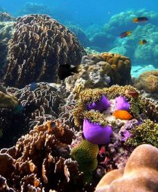 Świat zalany? Ryzyko coraz większe