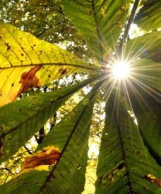 Będzie pięknie. Prognoza długoterminowa