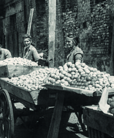 Odradzająca się z ruin Warszawa