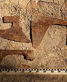 Zaskakujące odkrycie saperów