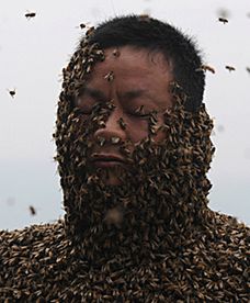 Obsiadło go ponad 460 tys. owadów