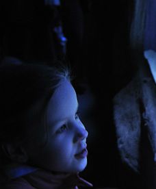 Oceanarium w Toruniu