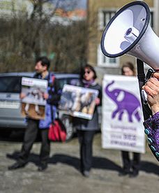 "Cyrk wykorzystuje zwierzęta"