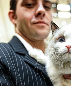 Pokaz kotów w Szczecinie