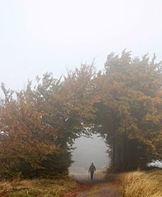 Złota europejska jesień