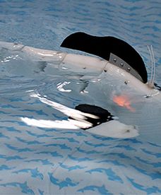 W Krakowie zaprezentowano CyberRybę