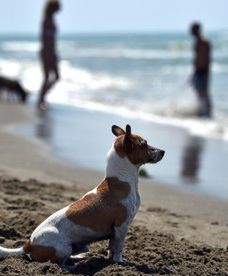 Gdzie jechać na wakacje? Lekarz radzi