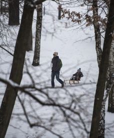 Największe wady zimy
