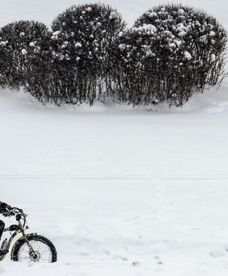 Czy zima jeszcze wróci?