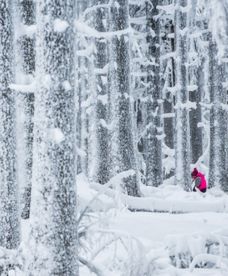 Czy zima jeszcze wróci do Polski?