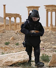 Rozminowywanie starożytnej Palmiry