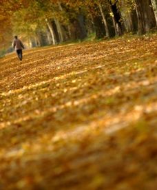 Prognoza pogody na październik