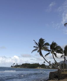 Znikają plaże na Hawajach