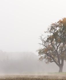 Prognoza długoterminowa - nastąpi duża zmiana