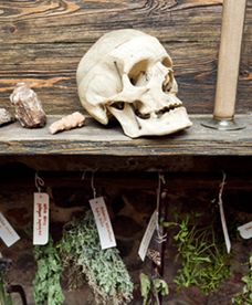 Dom Aptekarza we Wrocławiu