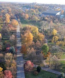 Jesień z innej perspektywy