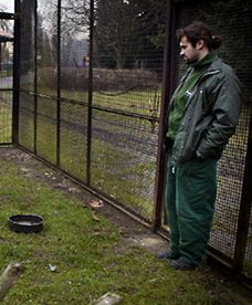 Opiekun ptaków w zoo