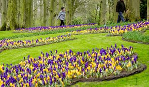 Wiosna o dzień wcześniej