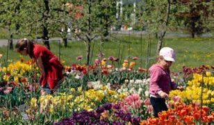 Wiosna przyjdzie już... w lutym?