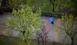 Polskie rekordy pogody