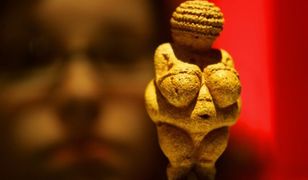 Pochodzimy z Austrii? Naukowcy znaleźli dowody