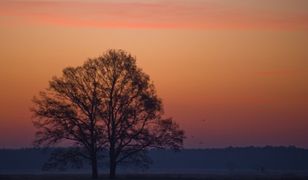 Prognoza długoterminowa - pogoda zwariuje!