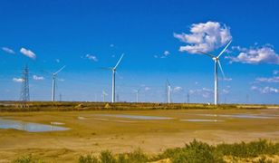 Niepokojące wieści z Instytutu Maxa Plancka