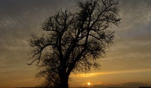 Prognoza długoterminowa - idą zmiany