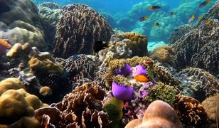 Świat zalany? Ryzyko coraz większe