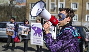 "Cyrk wykorzystuje zwierzęta"