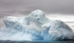 Zatrważające odkrycie naukowców!