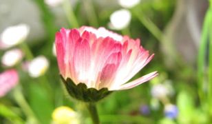 Prognoza pogody na 2015 rok!