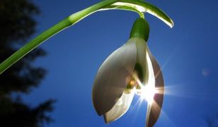 Niesamowita zmiana pogody w Polsce! Prognoza długoterminowa