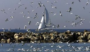 Ocieplenie klimatu coraz szybsze