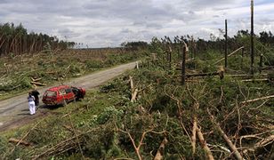 Krajobraz po trąbach powietrznych w świetle dnia