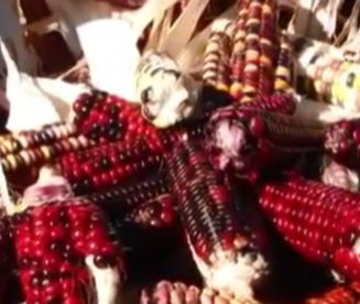 Sztuczna przyszłość ludzkości?