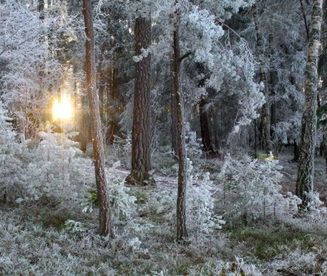 Prognoza długoterminowa - wraca zima, ale śniegu będzie mało