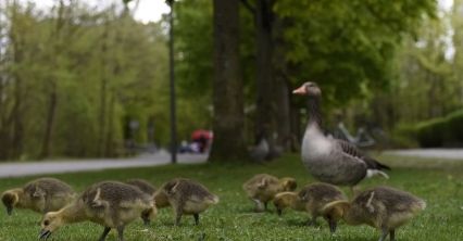 Marzec - pierwszy miesiąc wiosny