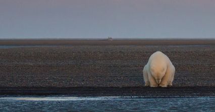 Skutki zmian klimatycznych na Ziemi