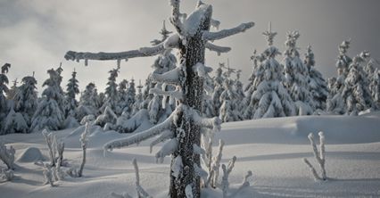 Prognoza pogody