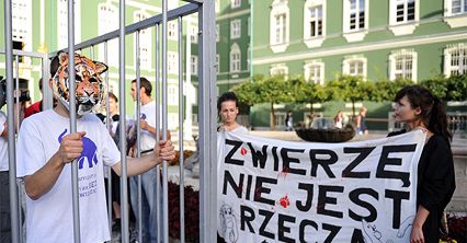 Protest przeciwko wykorzystywaniu zwierząt w cyrkach