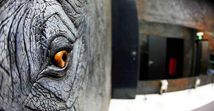 Słoń w toalecie w zoo we Wrocławiu