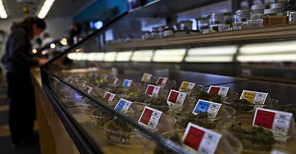 Legalna farma marihuany