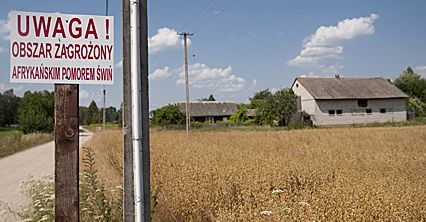 To zdarzyło się w Polsce